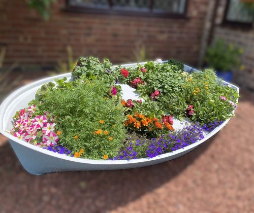 8ft boat planter looking in bloom