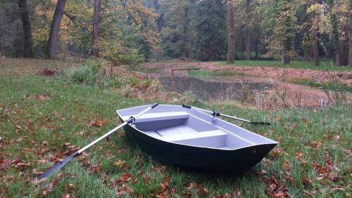 rowing boat in the woods