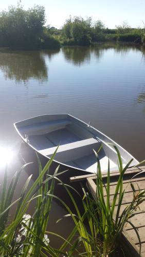 rowing boat nestled in the reads
