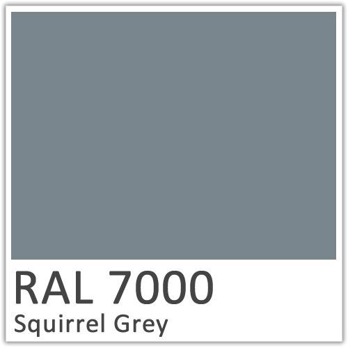Suirrel Grey Ral 7000