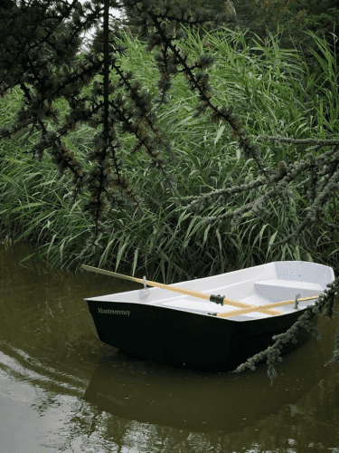rowing boat in the jungle