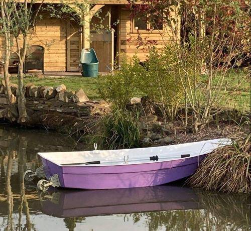 purple rowing boat